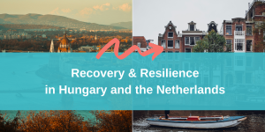 Resilience and Recovery in Hungary and the Netherlands 